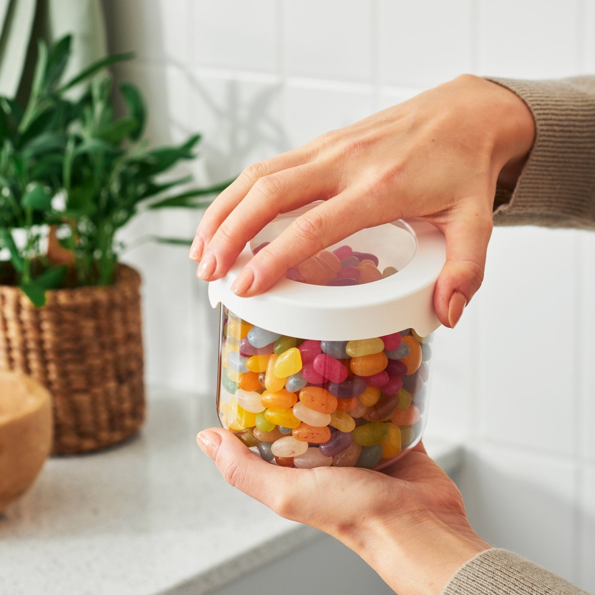 Dry Food Storage Container – 0.75 L - Image 3